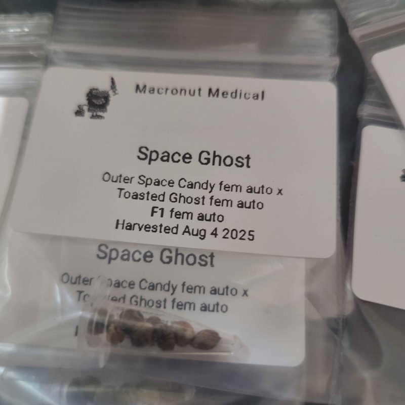 Space Ghost fem auto