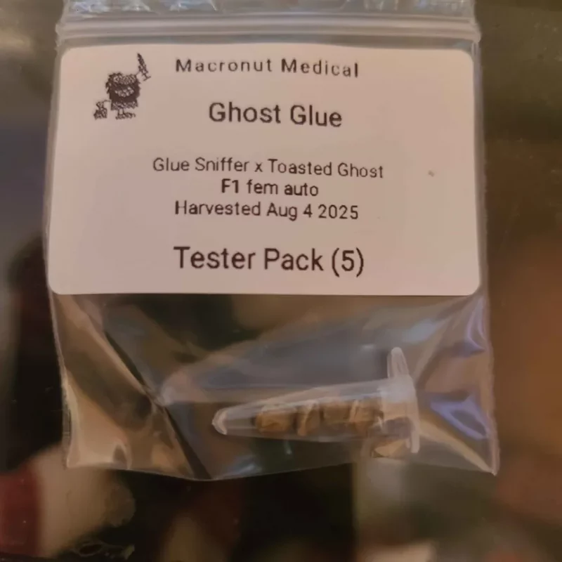 Tester - Ghost Glue F1 Fem Autoflower
