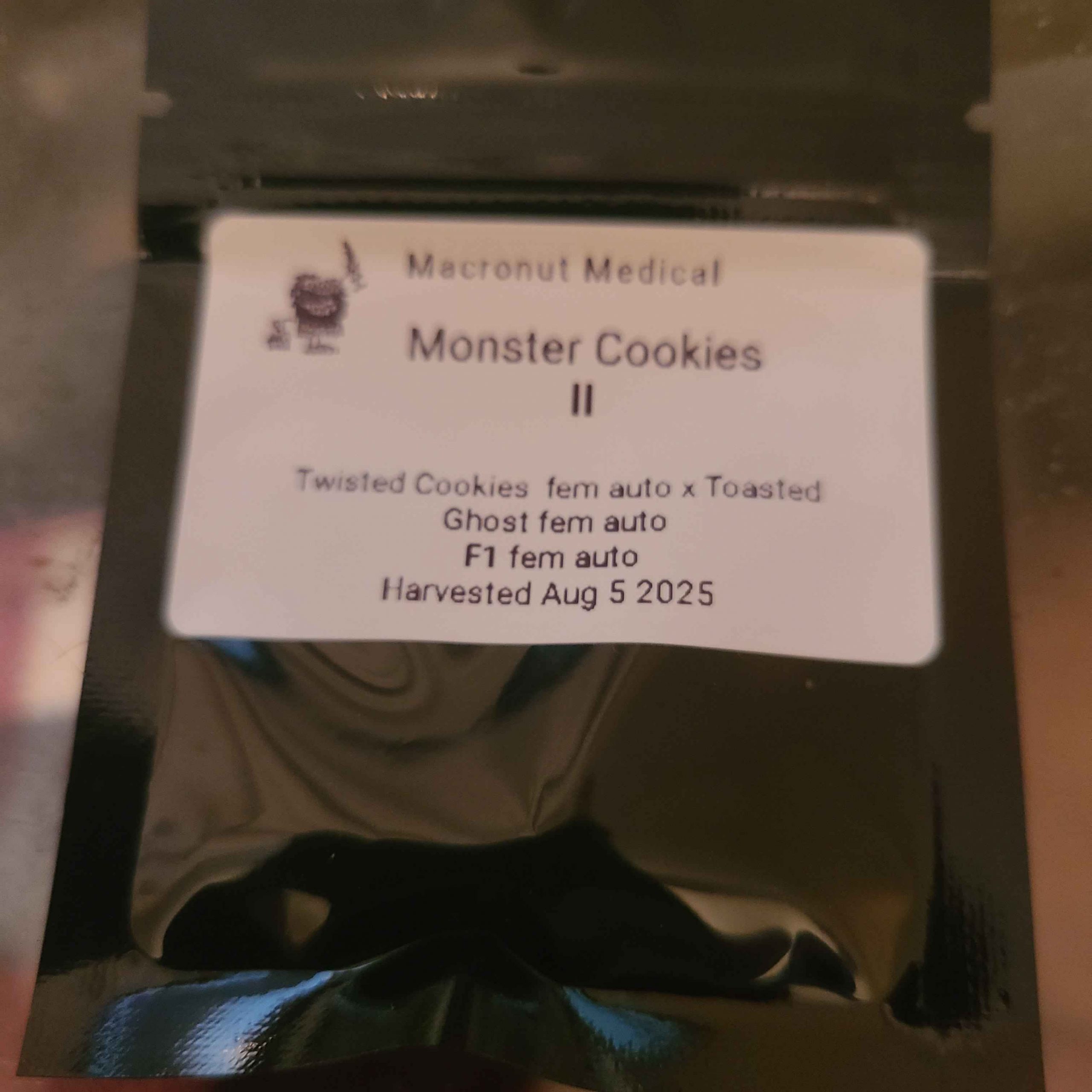 Monster Cookies II Female Autoflower